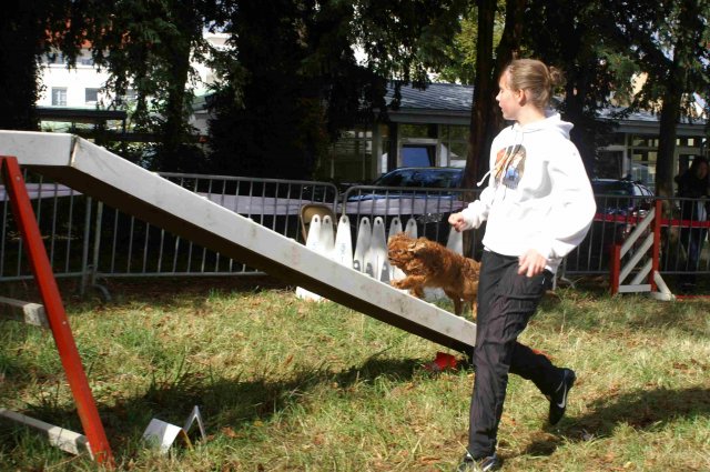 foire-haricots 2011-09-17et18